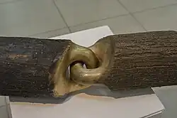 “Counterbalance”. 2015, l = 75 cm, wood, bronze