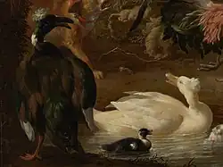 detail of an old painting, showing two crested ducks