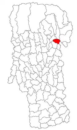Location in Argeș County