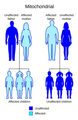 unaffected mother and affected father leads to all unaffected children, affected mother and unaffected father leads to all affected children