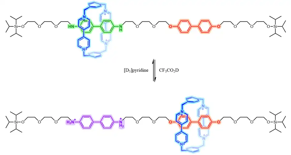 The first example of an artificial molecular machine (a switchable molecular shuttle). The positively charged ring (blue) is initially positioned over the benzidine unit (green), but shifts to the biphenol unit (red) when the benzidine gets protonated (purple) as a result of electrochemical oxidation or lowering of the pH.