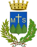 Coat of arms of Montesilvano