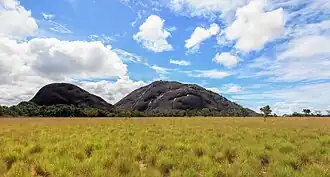 Piedra la Tortuga Natural Monument, Atures