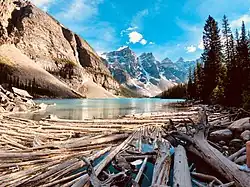 Moraine Lake in Banff National Park with floating timber
