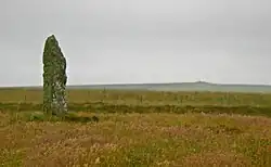 A photograph of a stone standing upright on the left in a field