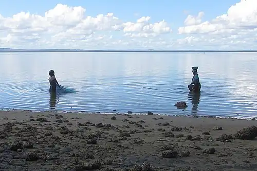 Local women fishing with mosquito nets