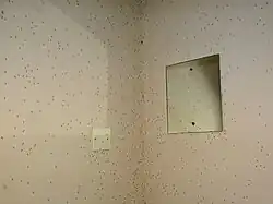 Walls on IRS-treated bathroom on the shores of Lake Victoria. The mosquitoes remain on the wall until they fall down dead on the floor.