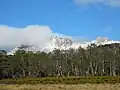 Mount Ossa, the highest mountain in Tasmania, seen from Pelion Plains