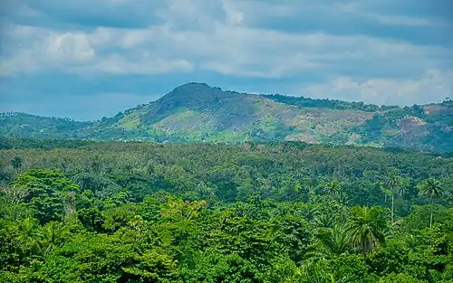 Interior of central Yorubaland in the wet season