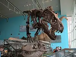 T. rex in Dinosaur Mysteries