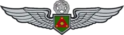 Army Aviation Pilot's Badge (Master)