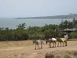 Muhuru Bay and Lake Victoria