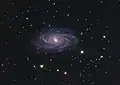 NGC 2336 by the Mount Lemmon Observatory