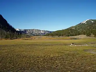 National Park Meadow with Mount Haynes on the horizon