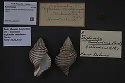 A modern, beach worn shell