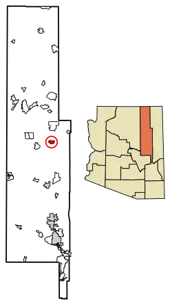 Location of Indian Wells in Navajo County, Arizona.