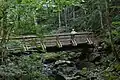 New Bridge on the Falls Trail