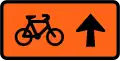 Cyclists follow this sign (straight ahead, right-hand)