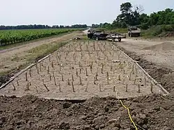 Newly planted constructed wetland