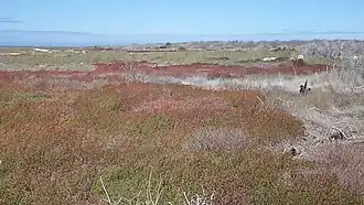 North Seymour Island