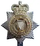 Cap Badge of the Northern Ireland Security Guard Service