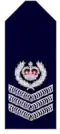 New South Wales Police Force