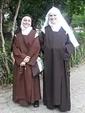The religious habit of the Carmelite Order is brown and includes the Scapular of Our Lady of Mount Carmel (also known as Brown Scapular).