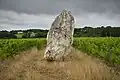 Menhir of "Pierre blanche"