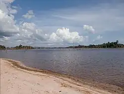 Brokopondo Reservoir as seen from Stoneiland
