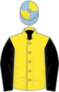 Yellow, black sleeves, light blue and yellow quartered cap