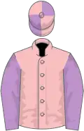 Pink, mauve sleeves, quartered cap