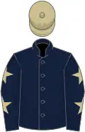 Dark blue, beige stars on sleeves, beige cap