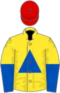 Yellow, royal blue triangle, halved sleeves, red cap