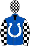Royal blue, white horseshoe, black and white check sleeves and cap