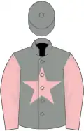 Grey, pink star and sleeves