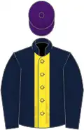 Dark blue, yellow panel, purple cap