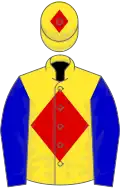 Yellow, red diamond, blue sleeves, yellow cap, red diamond