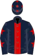 Dark blue, red stripe, dark blue sleeves, red stars, dark blue cap, red stars
