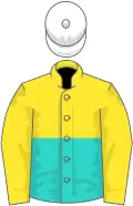 Yellow and turquoise (halved horizontally), yellow sleeves, white cap