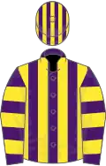 Purple and yellow stripes, hooped sleeves