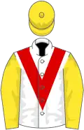 White, red chevron, yellow sleeves, red epaulets, yellow cap