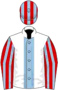 White, light blue stripe, red and light blue striped sleeves and cap