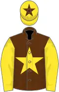 Brown, yellow star and sleeves, yellow cap, brown star