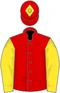 Red, yellow sleeves, red cap, yellow diamond