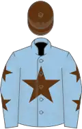 Light blue, brown star, brown stars on sleeves, brown cap