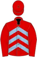 Red, light blue chevrons on body