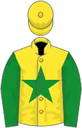 Yellow, green star and sleeves, yellow cap