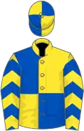 Yellow and royal blue (quartered), chevrons on sleeves, quartered cap