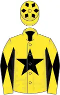 Yellow, black star, diabolo on sleeves, diamonds on cap