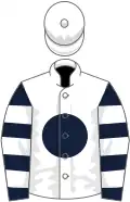 White, dark blue disc, dark blue and white hooped sleeves